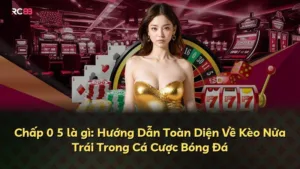 Chấp 0 5 là gì: Hướng Dẫn Toàn Diện Về Kèo Nửa Trái Trong Cá Cược Bóng Đá
