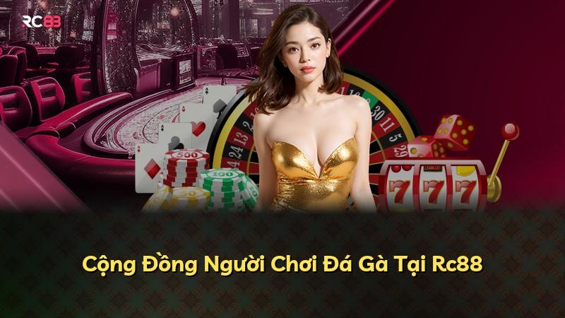 Cộng Đồng Người Chơi Đá Gà Tại Rc88