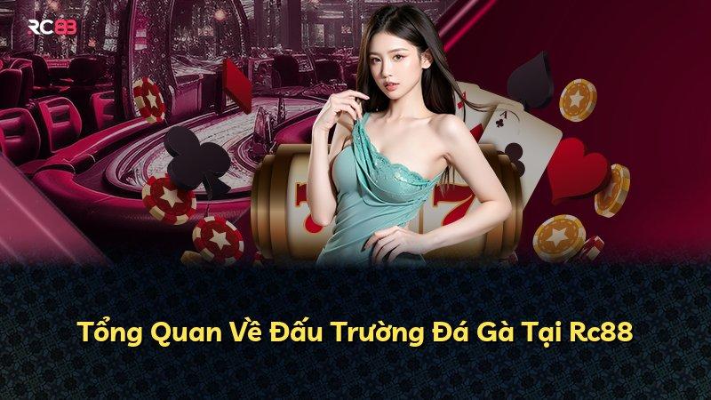 Tổng Quan Về Đấu Trường Đá Gà Tại Rc88